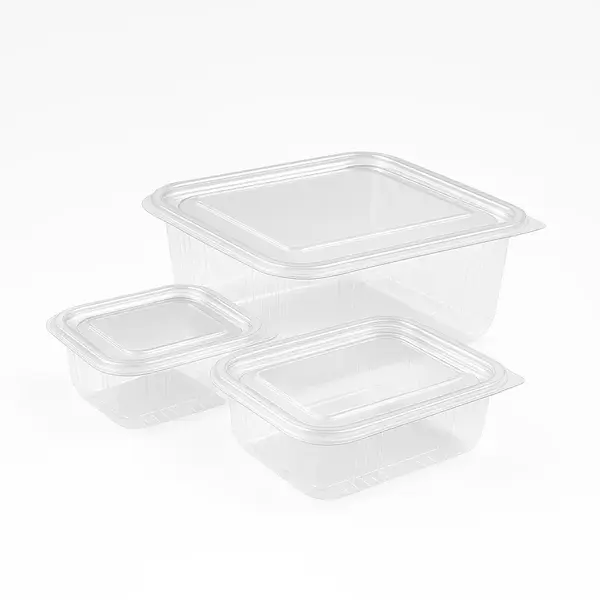 Caserolă PET 500 cc cu capac atașat ECO, transparentă – Set 100 buc Caserolă PET 500 cc cu capac atașat ECO, transparentă – Set 100 buc