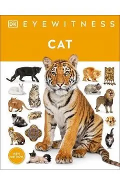 Cat - Dk