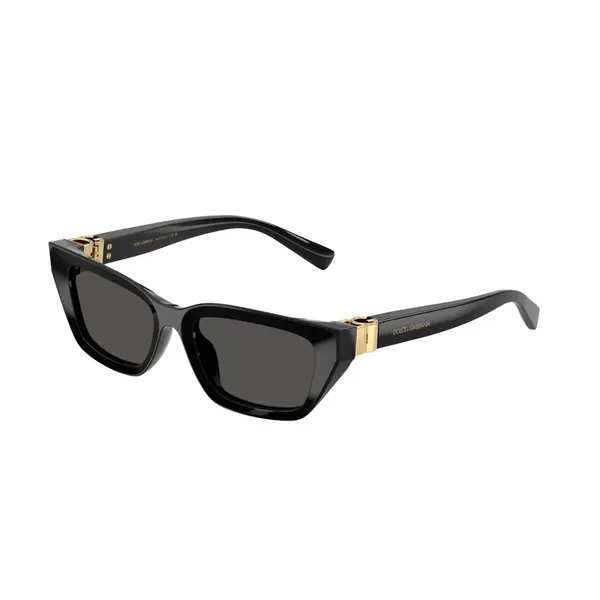Cat eye dg4532 501/87 53