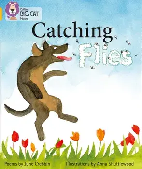 Catching Flies. Band 09/Gold, Paperback/***