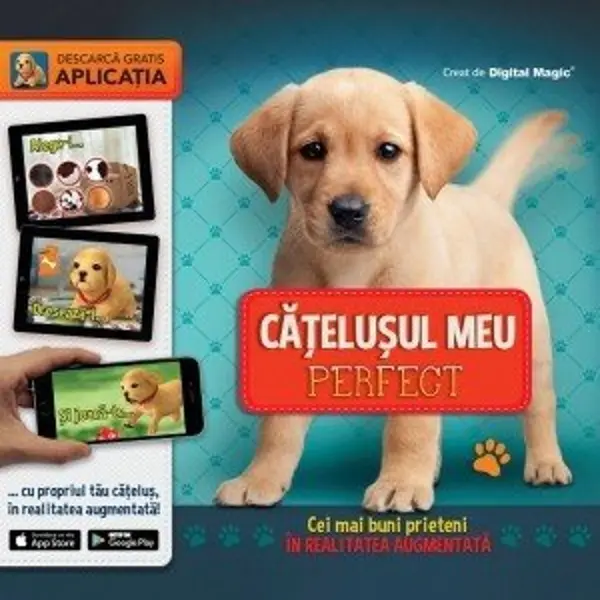 Catelusul meu perfect |