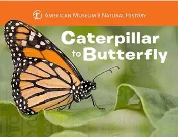 Caterpillar to Butterfly, Hardcover/American Museum of Natural History