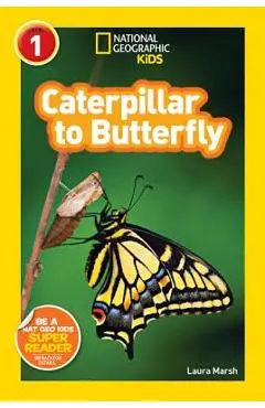 Caterpillar to Butterfly - Laura Marsh