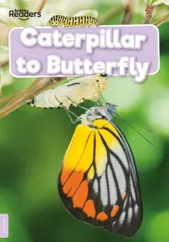 Caterpillar to Butterfly, Paperback/William Anthony