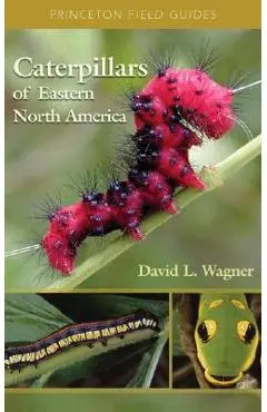 Caterpillars of Eastern North America: A Guide to Identification and Natural History - David L. Wagner