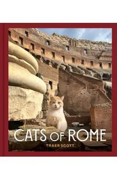 Cats of Rome - Traer Scott