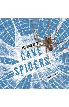 Cave Spiders - Lisa J. Amstutz