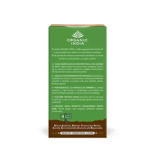 Ceai Tulsi Ayush KWATH, 25pl ECO | Organic India