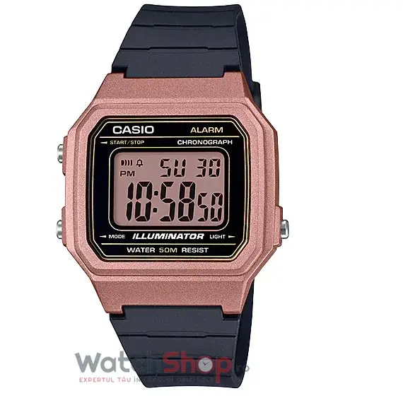 Ceas Casio COLLECTION W-217HM-5A