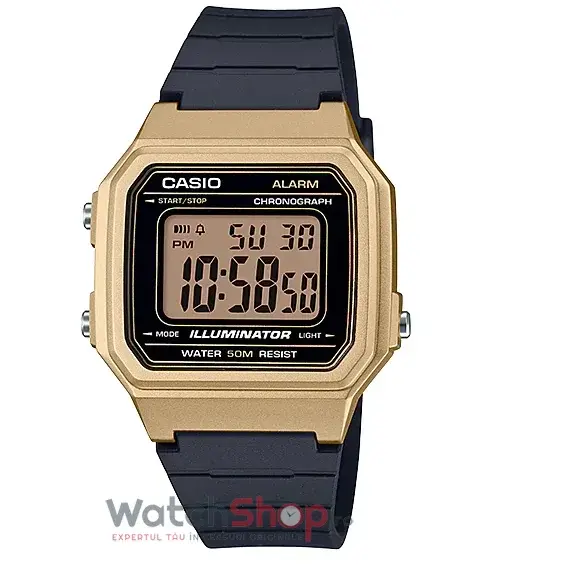Ceas Casio COLLECTION W-217HM-9A