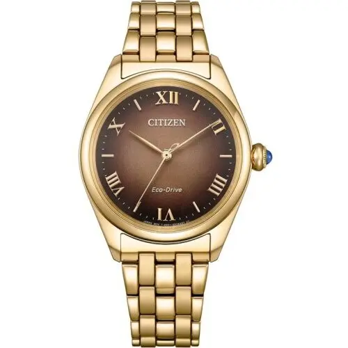 Ceas Citizen Citizen Eco-Drive EM1143-81Z