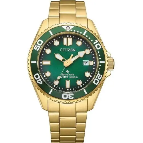 Ceas Citizen Citizen Promaster BN0262-59W