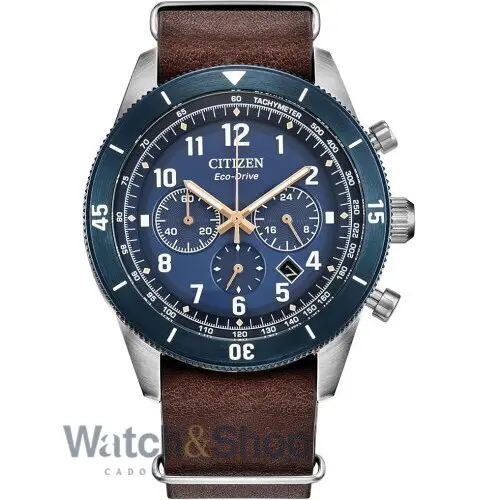 Ceas Citizen Citizen Terra Force CA4747-05L