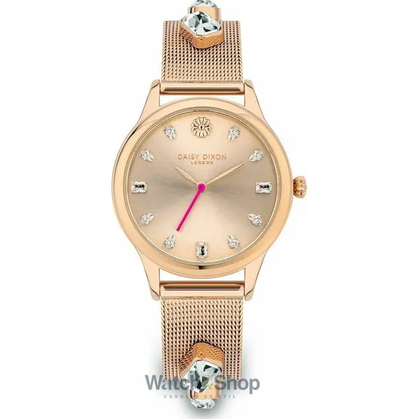 Ceas Daisy Dixon DD105RGM