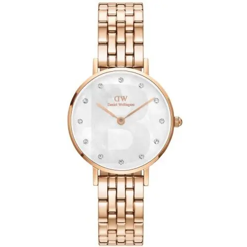 Ceas Daniel Wellington Daniel Wellington Petite DW00100613