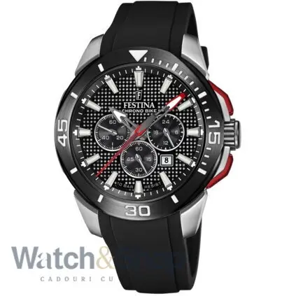 Ceas Festina F20642/4