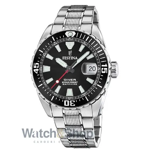 Ceas Festina F20669/3