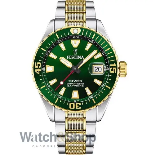 Ceas Festina Festina The Originals 20706/2