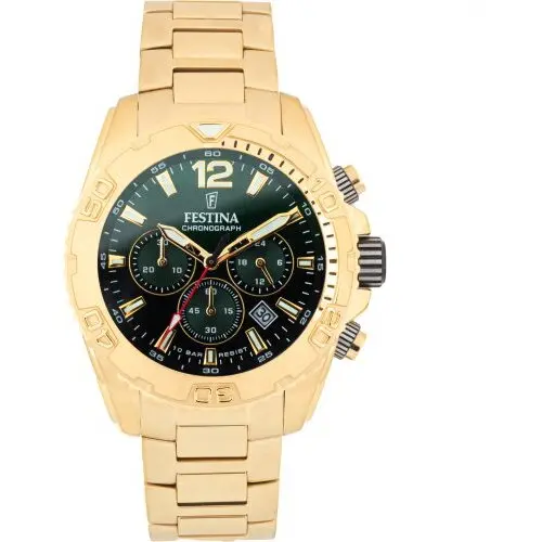 Ceas Festina Festina Timeless Chronograph 20684/3