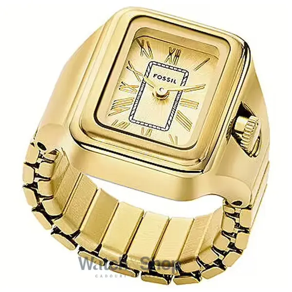 Ceas Fossil ES5343