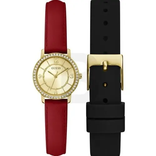 Ceas Guess Guess Box Set GW0643L2