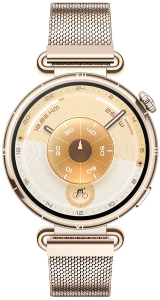 Ceas inteligent Huawei - Watch GT6, 1.32'', 41 mm, Millanese