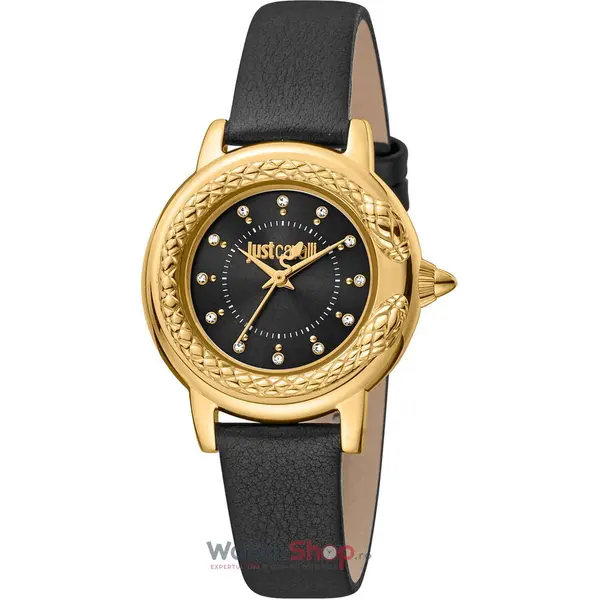 Ceas Just Cavalli Presto JC1L151L0625