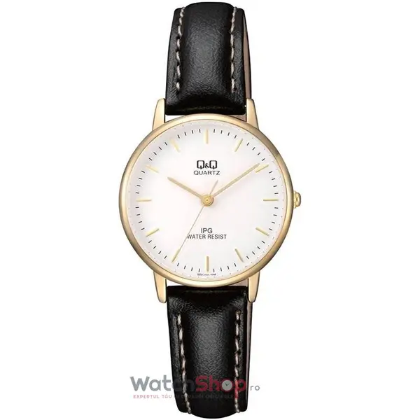 Ceas Q&Q FASHION QZ01J101Y