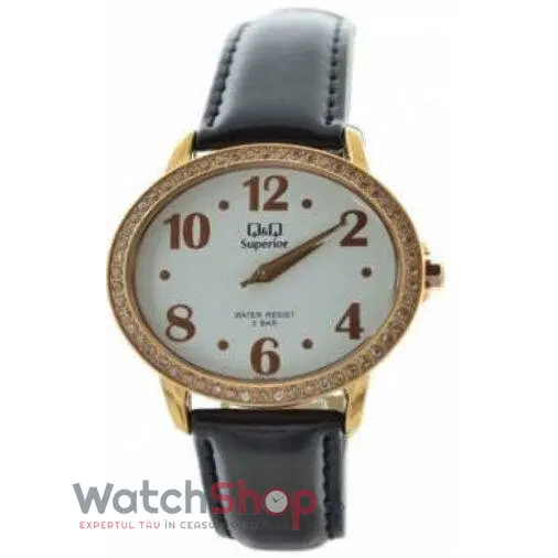 Ceas Q&Q SUPERIOR P209-846Y
