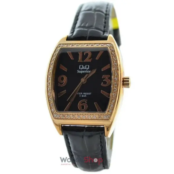 Ceas Q&Q Superior P209-864Y