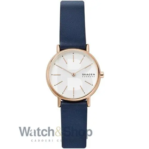 Ceas Skagen Signatur SKW2838