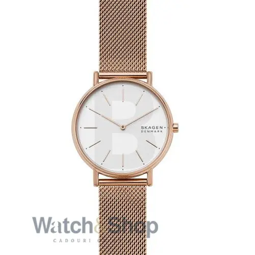 Ceas Skagen Signatur Slim SKW2784