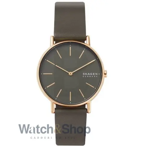 Ceas Skagen Skagen SKW2794