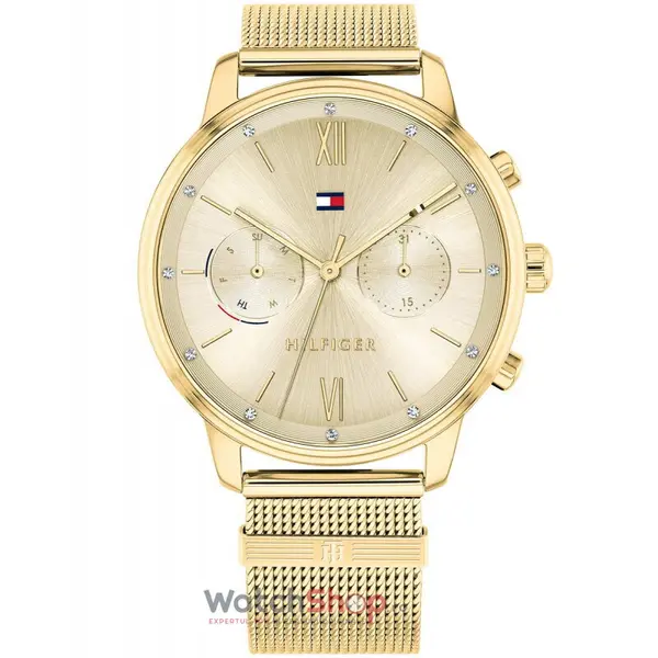 Ceas Tommy Hilfiger BLAKE 1782302