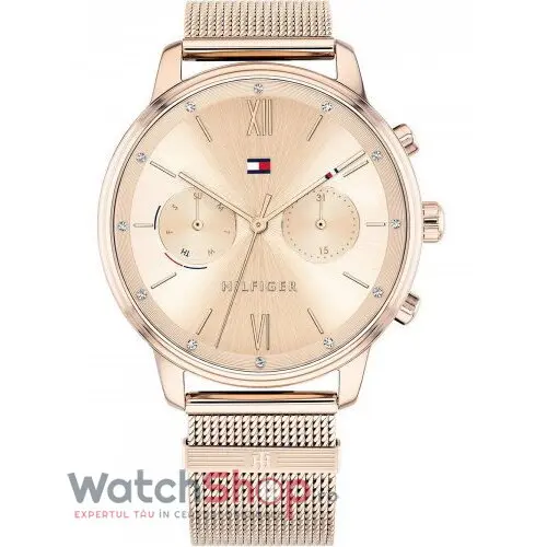 Ceas Tommy Hilfiger BLAKE 1782303