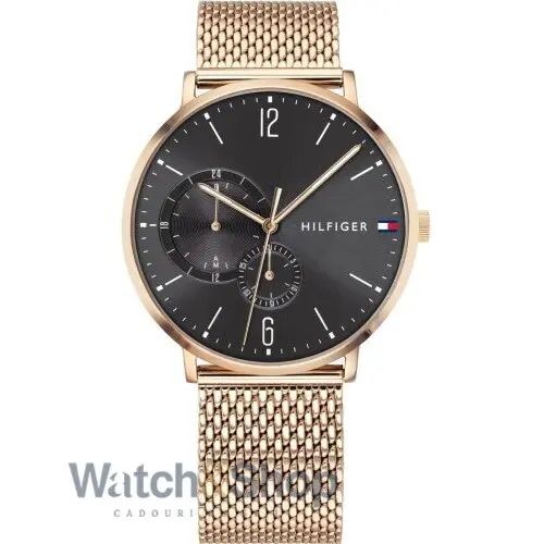 Ceas Tommy Hilfiger Brooklyn 1791506