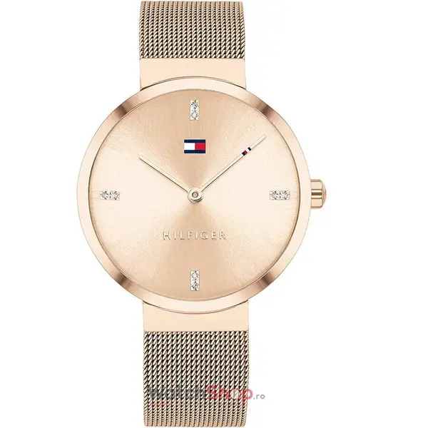 Ceas Tommy Hilfiger LIBERTY 1782218