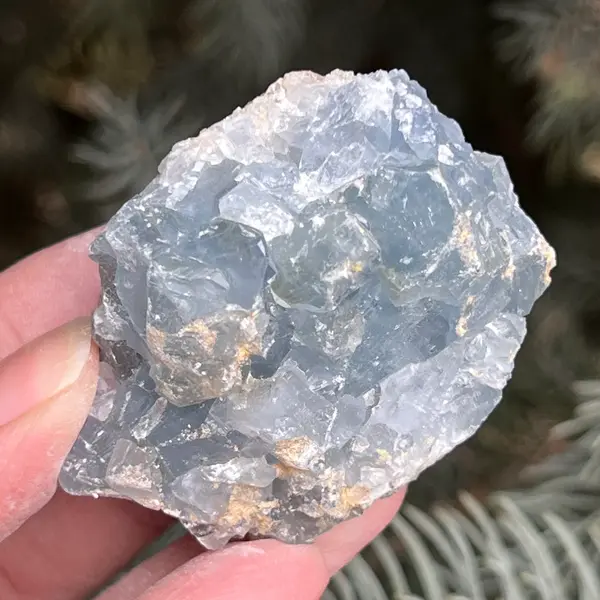 Celestit / celestina cluster m24
