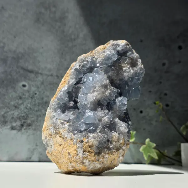 Celestit / celestina cluster | Model 31