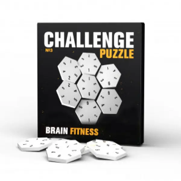 Challenging Puzzle Nr. 3 | IQ Puzzle