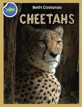 Cheetah Activity Workbook ages 4-8, Paperback/Beth Costanzo