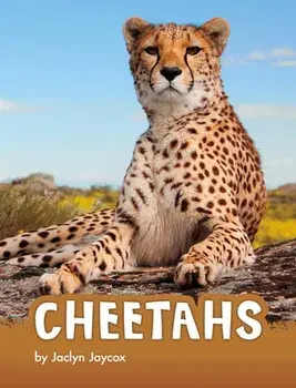 Cheetahs, Paperback/Jaclyn Jaycox