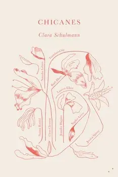 Chicanes, Paperback/***