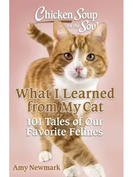Chicken Soup for the Soul: What I Learned from My Cat. 101 Tales of Our Favorite Felines, Paperback/Amy Newmark