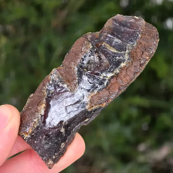 Chihlimbar fosil din Indonezia – Rășină naturală | Model 7
