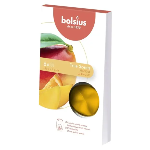 Cipsuri din Parafina Parfumata - Mango - 6 Buc