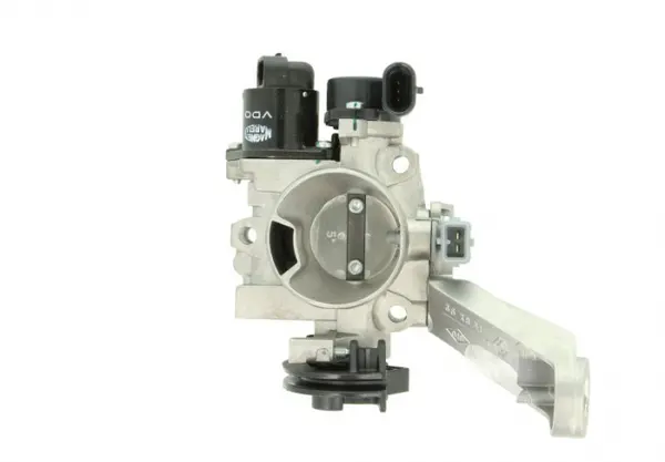 Clapeta control admisie aer RENAULT CLIO II, CLIO III, KANGOO, TWINGO I 1.2 dupa 1997