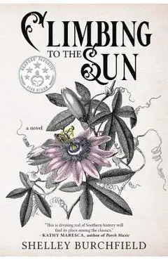 Climbing To The Sun - Shelley Burchfield