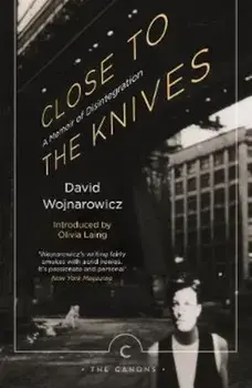 Close to the Knives, Paperback/David Wojnarowicz