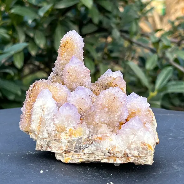 Cluster cuart cactus ametrin Africa de Sud model 102